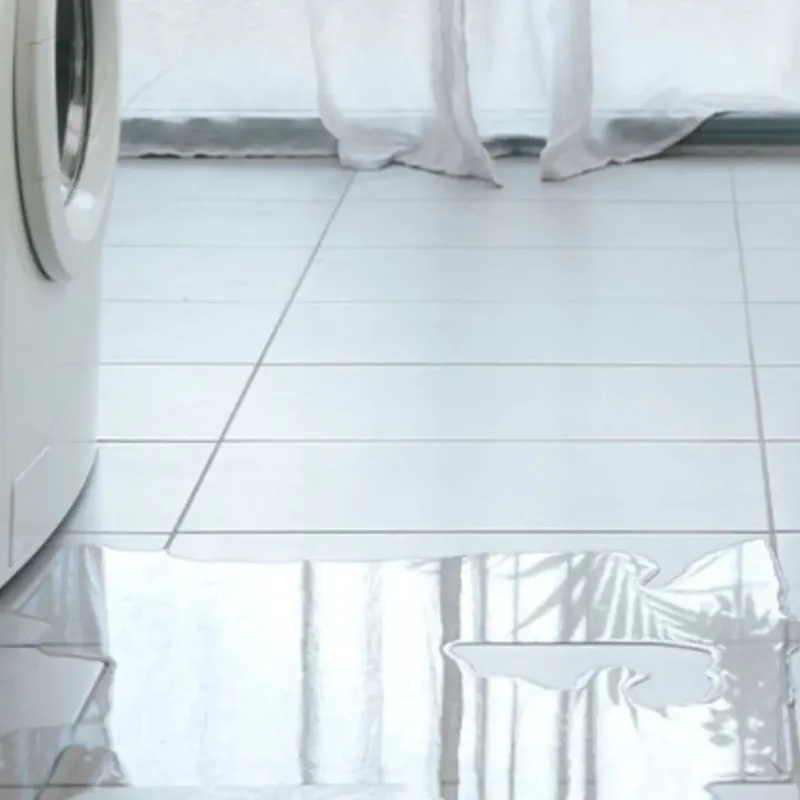 Appliance Leak Cleanup in Rock Island, FL