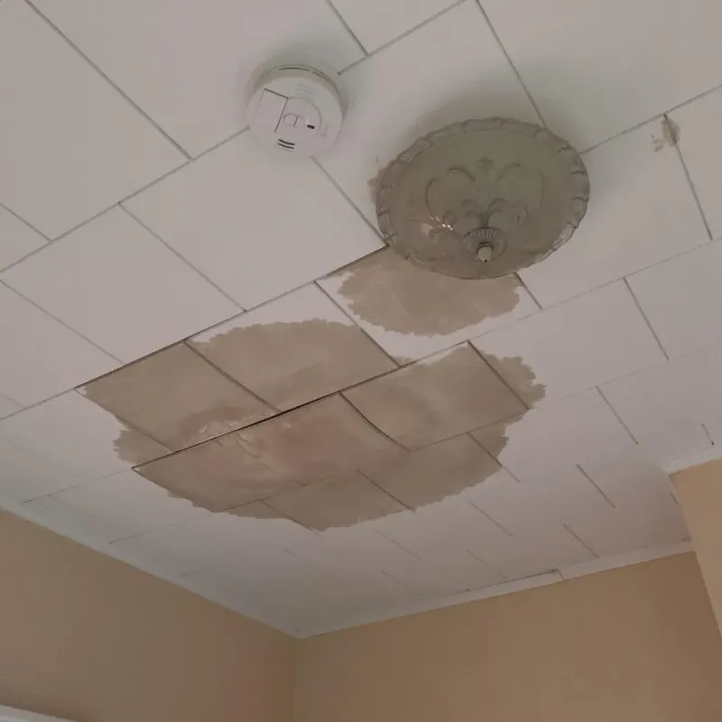 Ceiling Water Damage Repair in Rock Island, FL