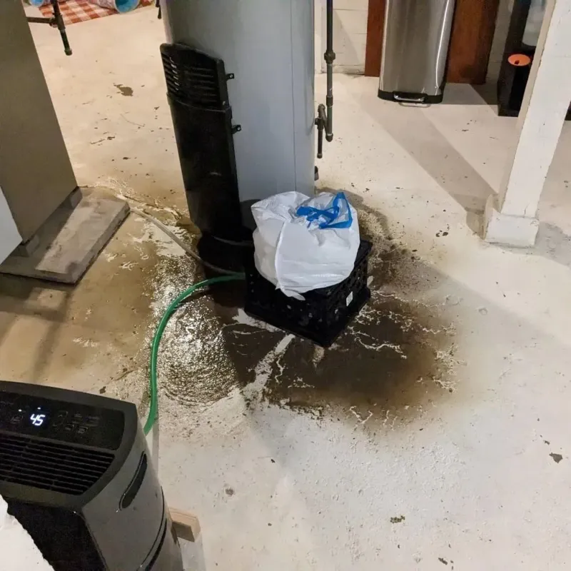 Sewage Backup Cleanup Service in Rock Island, FL